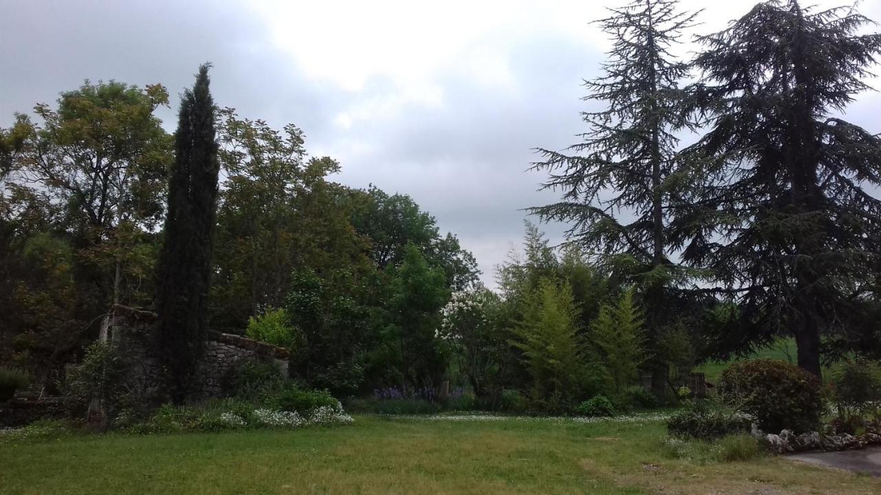 Domaine De Seguela Bed & Breakfast Fargues  Luaran gambar