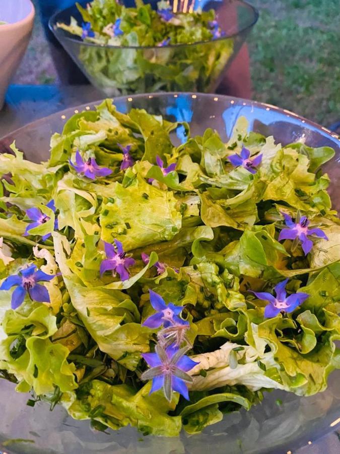 Domaine De Seguela Bed & Breakfast Fargues  Luaran gambar